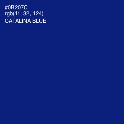 #0B207C - Catalina Blue Color Image