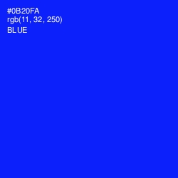 #0B20FA - Blue Color Image