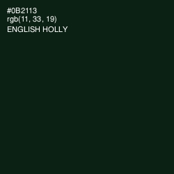 #0B2113 - English Holly Color Image