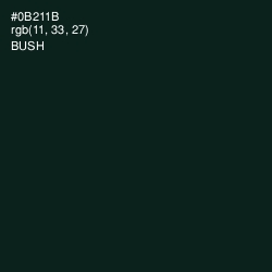 #0B211B - Bush Color Image