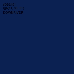 #0B2151 - Downriver Color Image