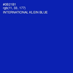 #0B21B1 - International Klein Blue Color Image
