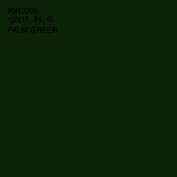 #0B2206 - Palm Green Color Image