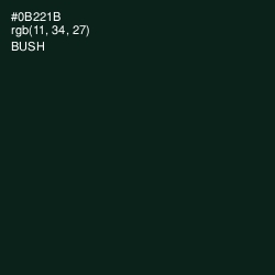 #0B221B - Bush Color Image