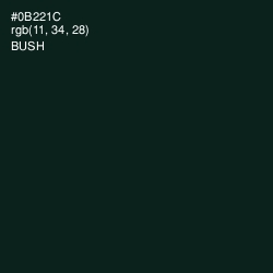 #0B221C - Bush Color Image