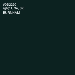 #0B2220 - Burnham Color Image