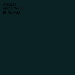 #0B2224 - Burnham Color Image