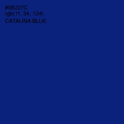 #0B227C - Catalina Blue Color Image