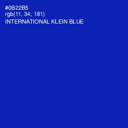 #0B22B5 - International Klein Blue Color Image