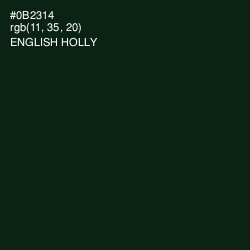 #0B2314 - English Holly Color Image