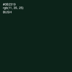 #0B2319 - Bush Color Image