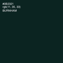 #0B2321 - Burnham Color Image