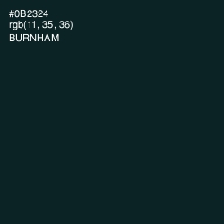 #0B2324 - Burnham Color Image