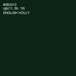 #0B2413 - English Holly Color Image