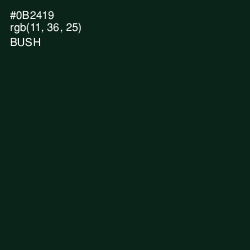#0B2419 - Bush Color Image