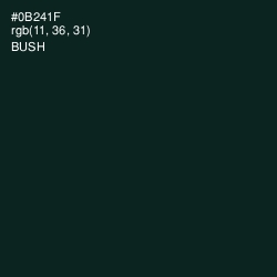 #0B241F - Bush Color Image