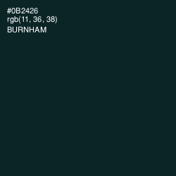 #0B2426 - Burnham Color Image