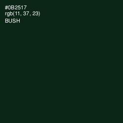 #0B2517 - Bush Color Image