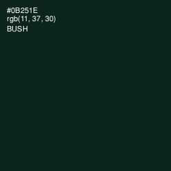 #0B251E - Bush Color Image