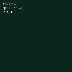 #0B251F - Bush Color Image