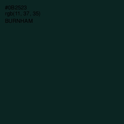 #0B2523 - Burnham Color Image