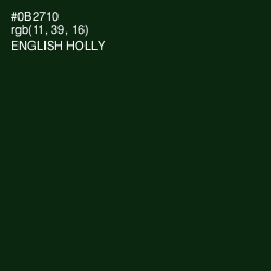 #0B2710 - English Holly Color Image