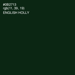 #0B2713 - English Holly Color Image