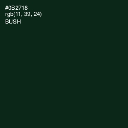 #0B2718 - Bush Color Image