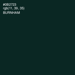 #0B2723 - Burnham Color Image