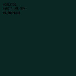 #0B2723 - Burnham Color Image