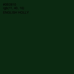 #0B2810 - English Holly Color Image