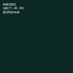 #0B2822 - Burnham Color Image
