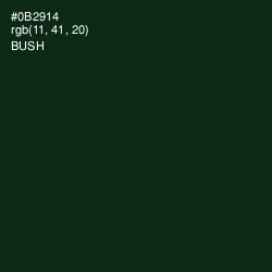 #0B2914 - Bush Color Image