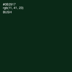 #0B2917 - Bush Color Image
