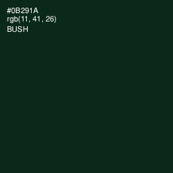 #0B291A - Bush Color Image
