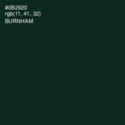 #0B2920 - Burnham Color Image