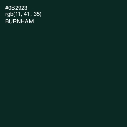 #0B2923 - Burnham Color Image