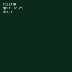 #0B2A19 - Bush Color Image