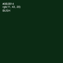 #0B2B14 - Bush Color Image