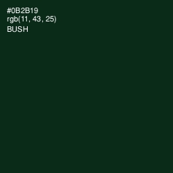 #0B2B19 - Bush Color Image