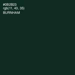 #0B2B23 - Burnham Color Image