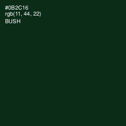 #0B2C16 - Bush Color Image