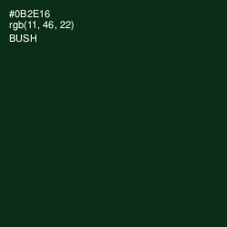 #0B2E16 - Bush Color Image