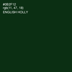 #0B2F12 - English Holly Color Image
