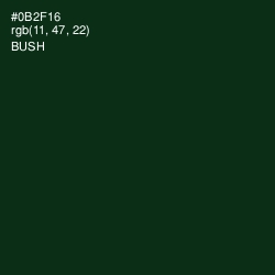 #0B2F16 - Bush Color Image