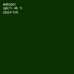 #0B3001 - Deep Fir Color Image