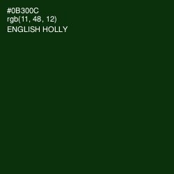 #0B300C - English Holly Color Image