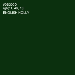 #0B300D - English Holly Color Image