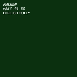 #0B300F - English Holly Color Image