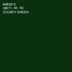 #0B3010 - County Green Color Image